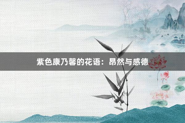 紫色康乃馨的花语：昂然与感德