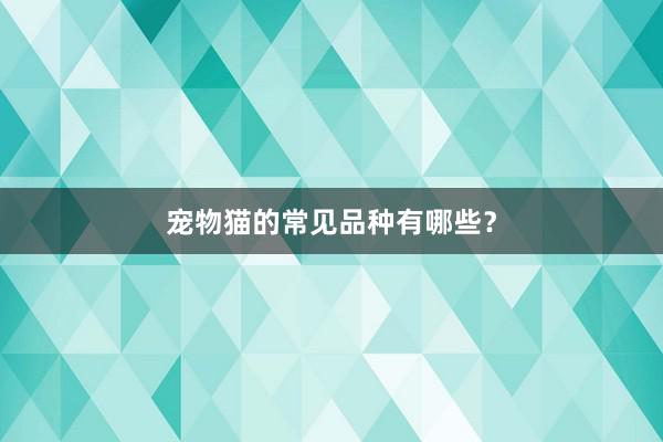 宠物猫的常见品种有哪些？